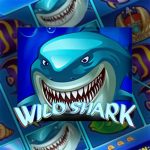 wild shark automat za darmo