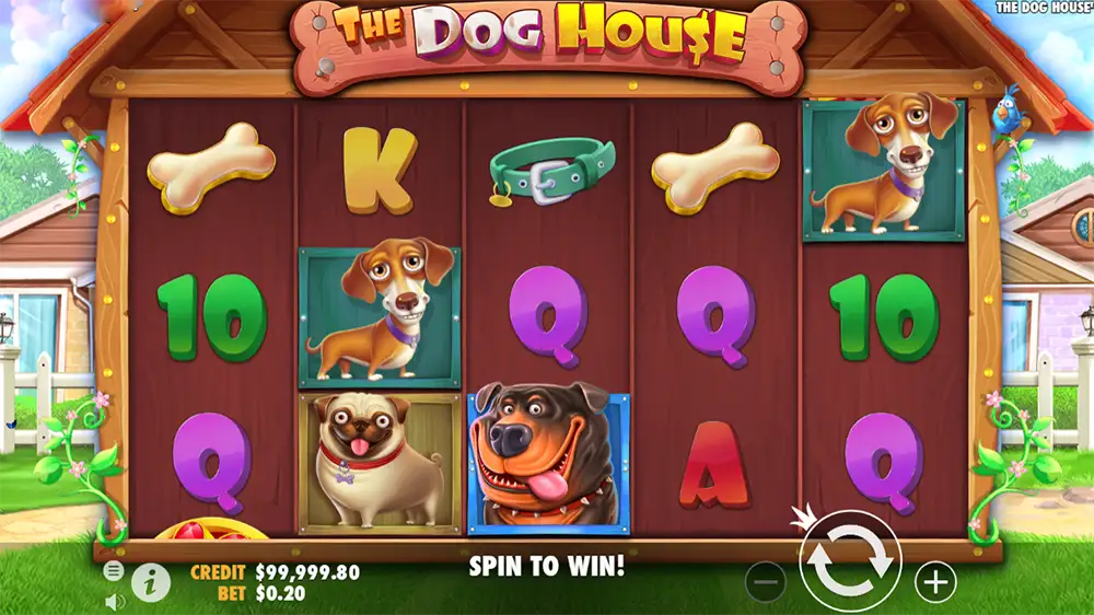 Zagraj w The Dog House The Dog House gra za darmo