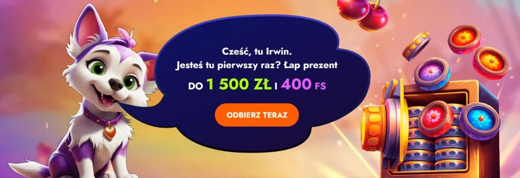 Plusy Informacje o Kasynie